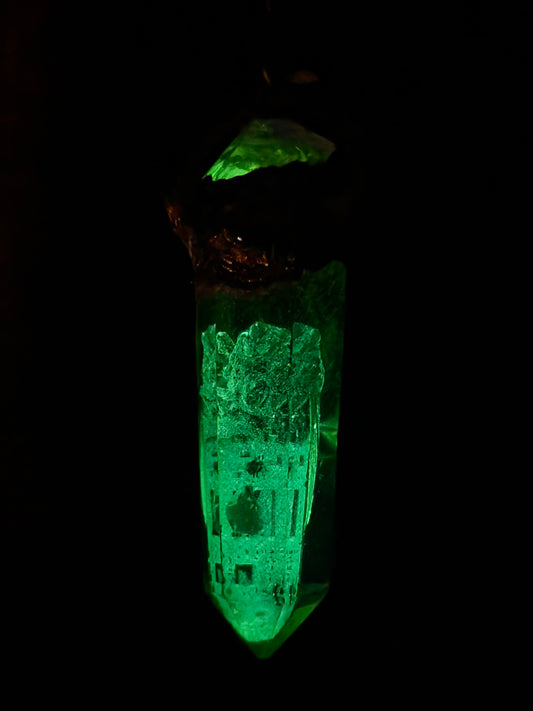 Cyborg Cicada 002