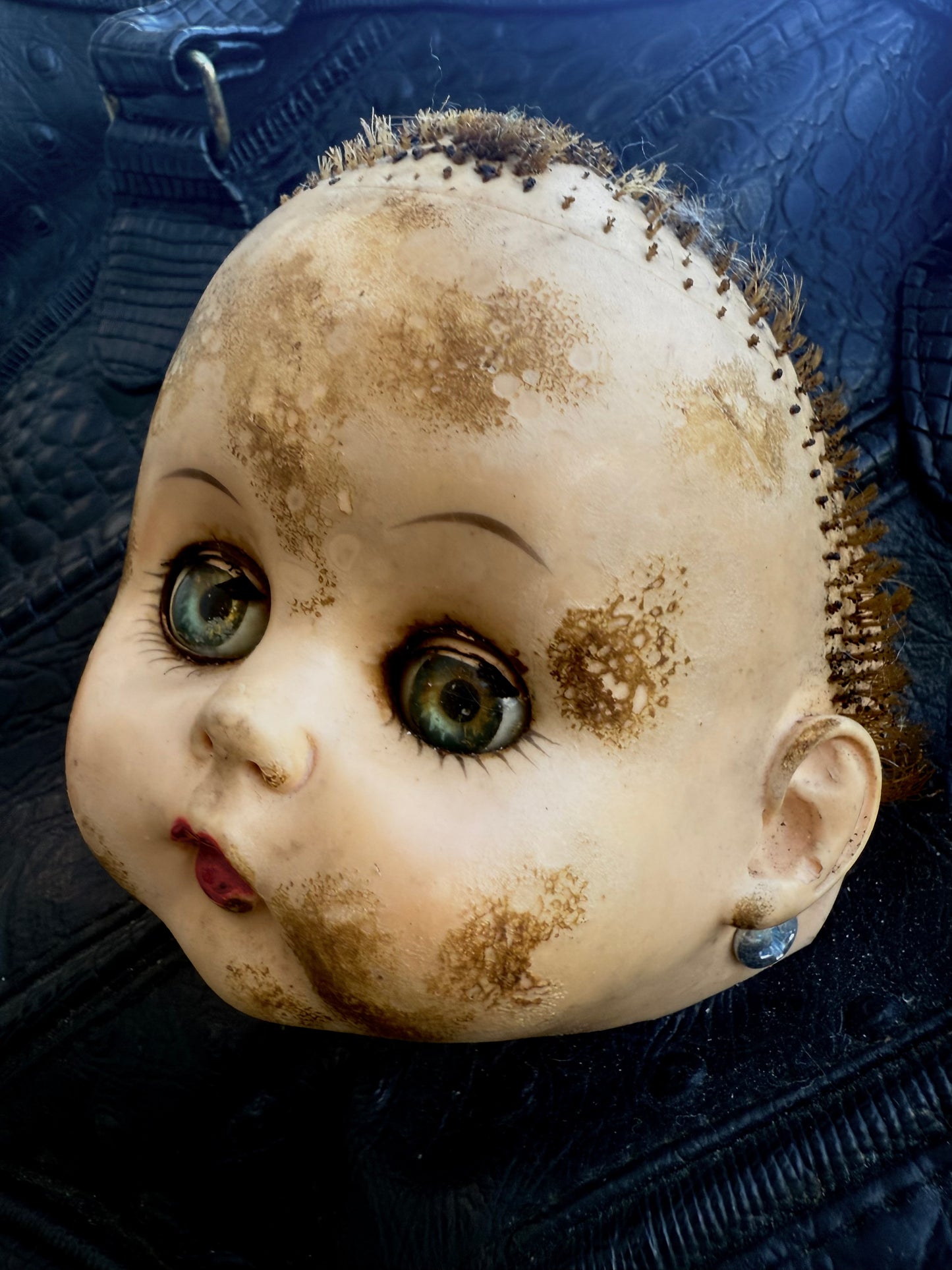 Baby crocodile purse