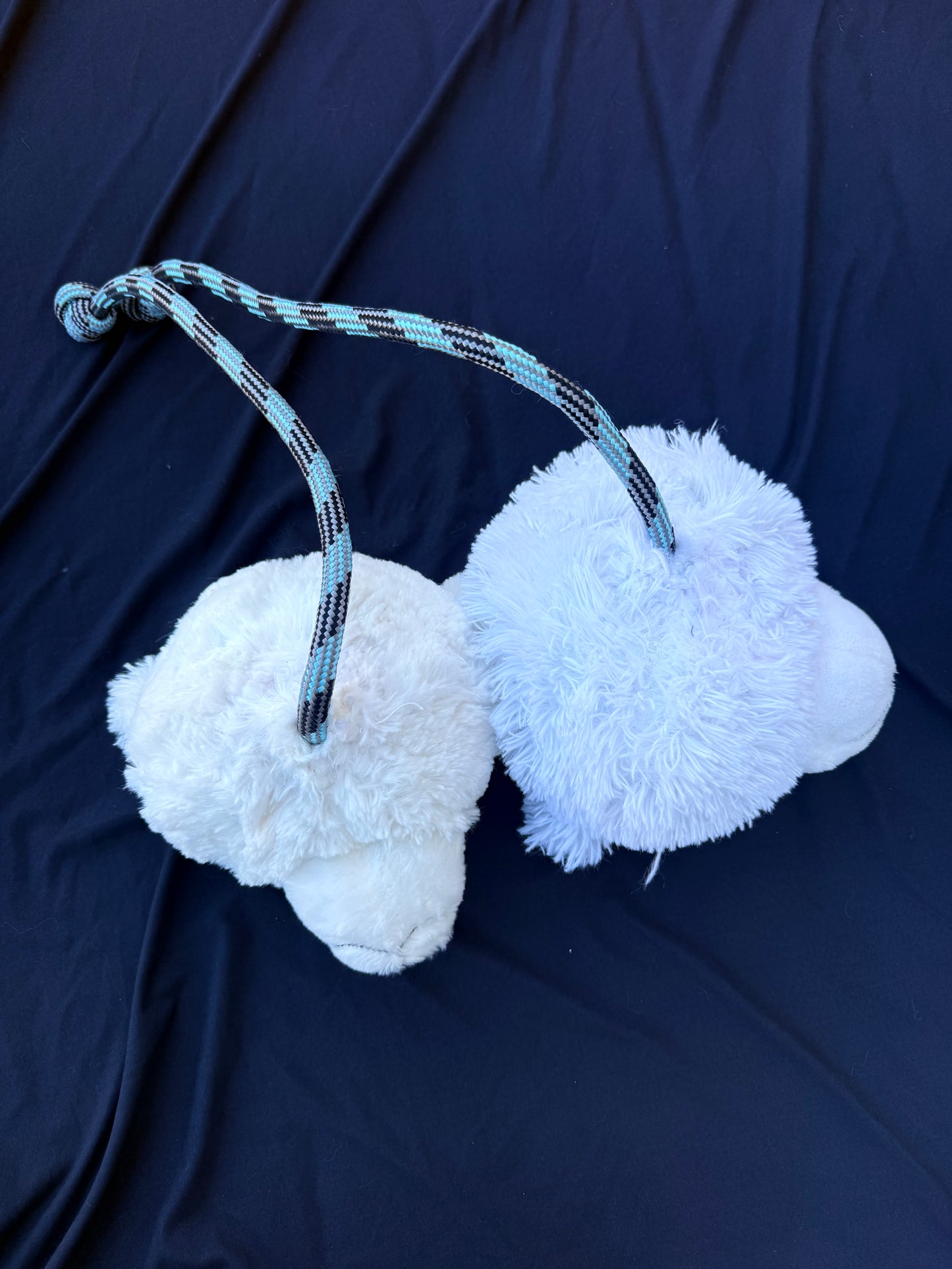 Polar bear poi
