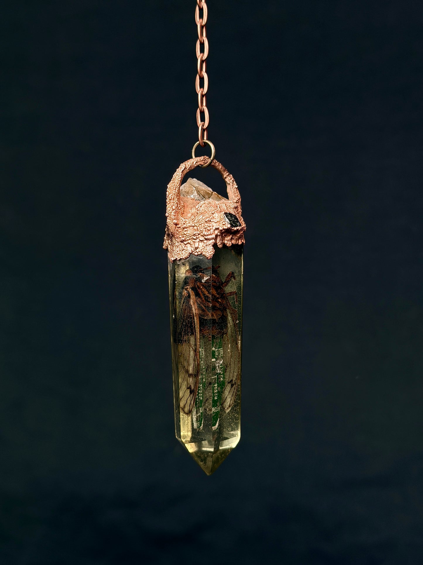 Cyborg Cicada 001