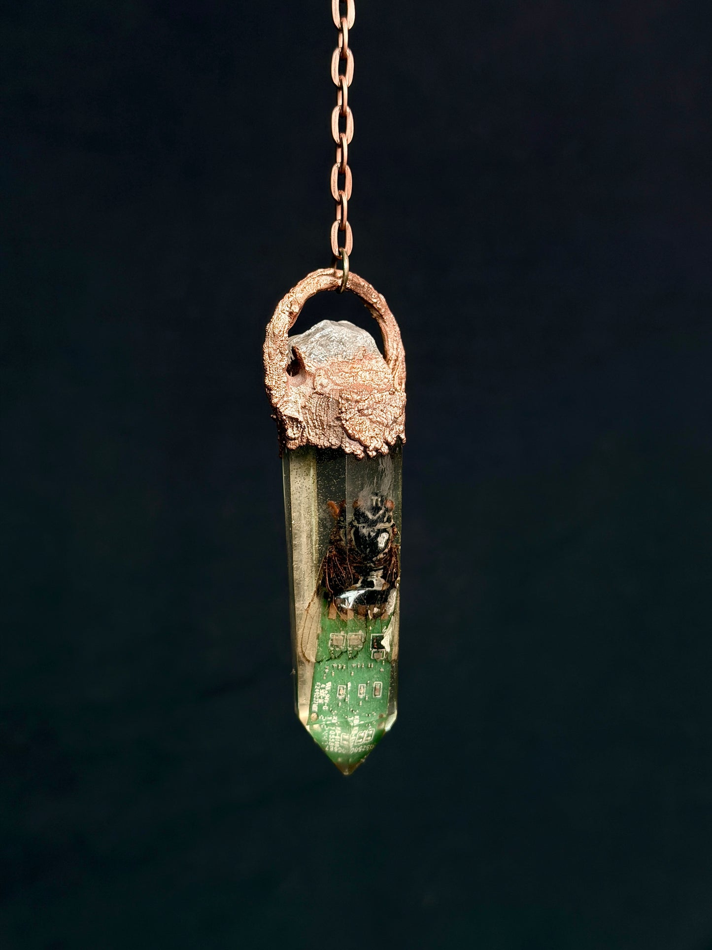 Cyborg Cicada 002