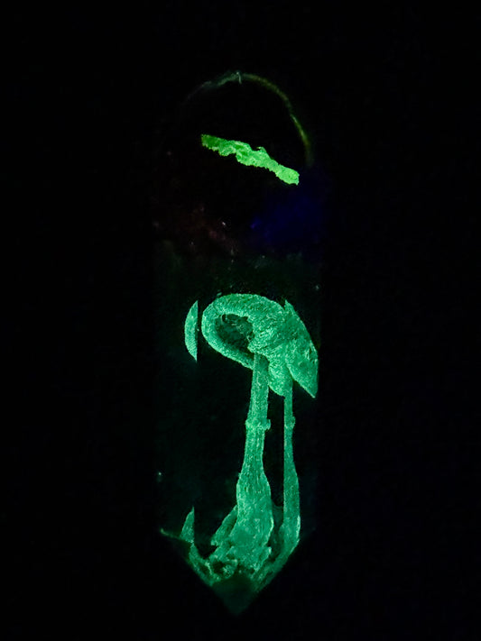 Mushroom Crystal
