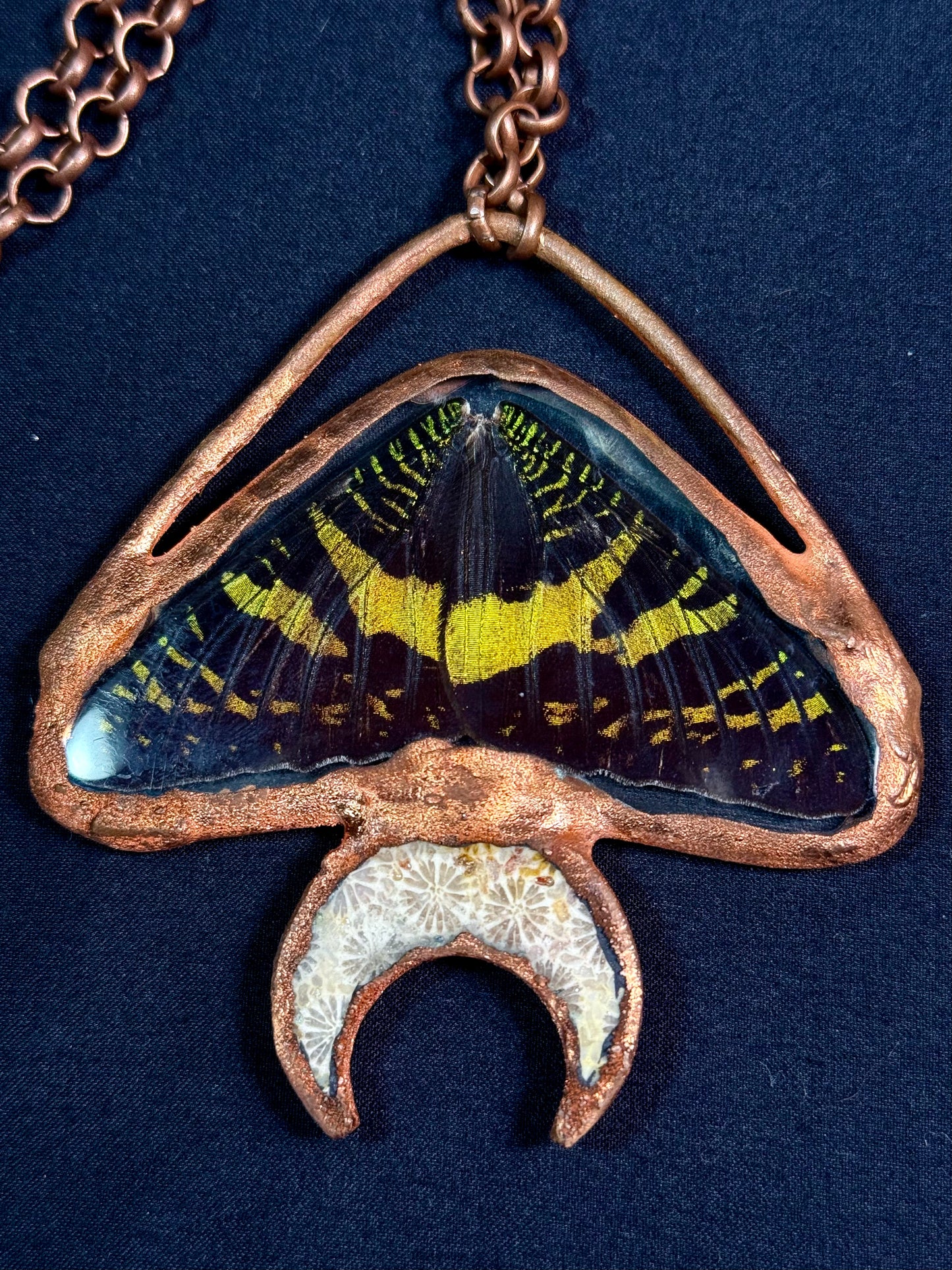 Fossil moon sunset moth amulet