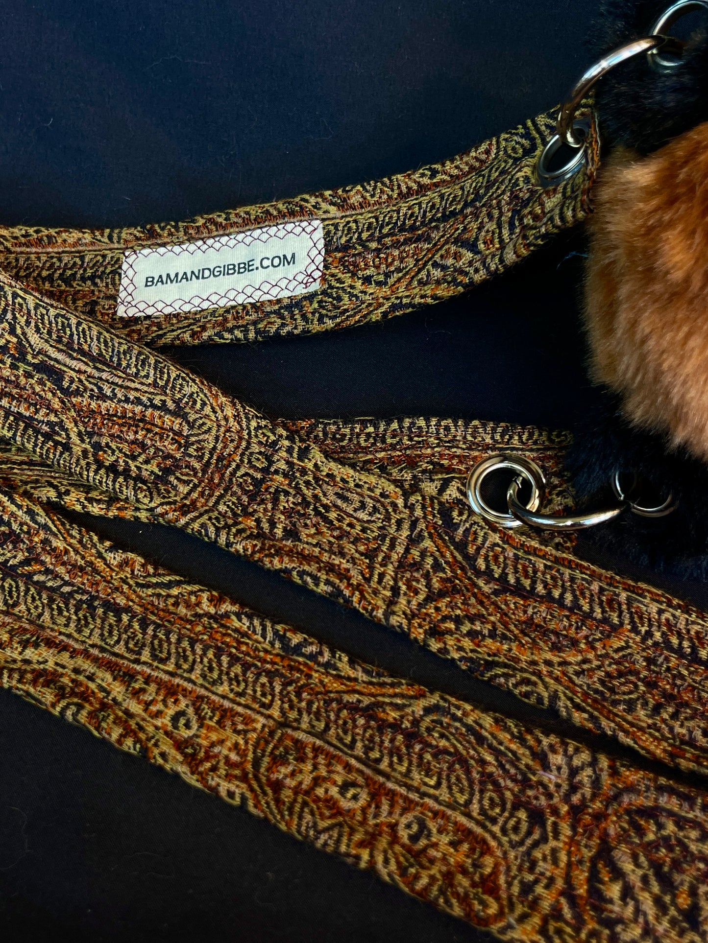 Fox + rain cloud care bear side bag