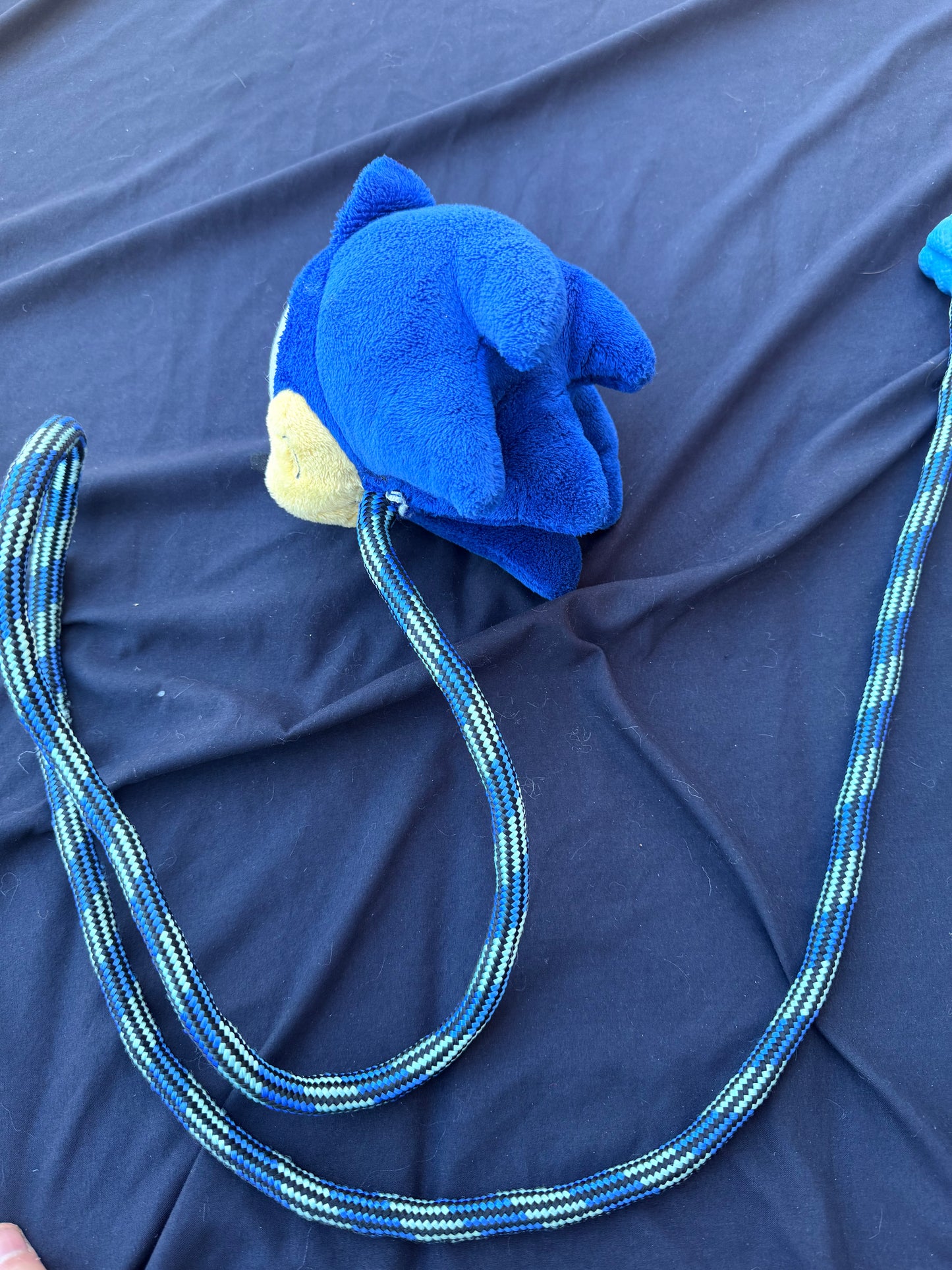 Sonic rope dart