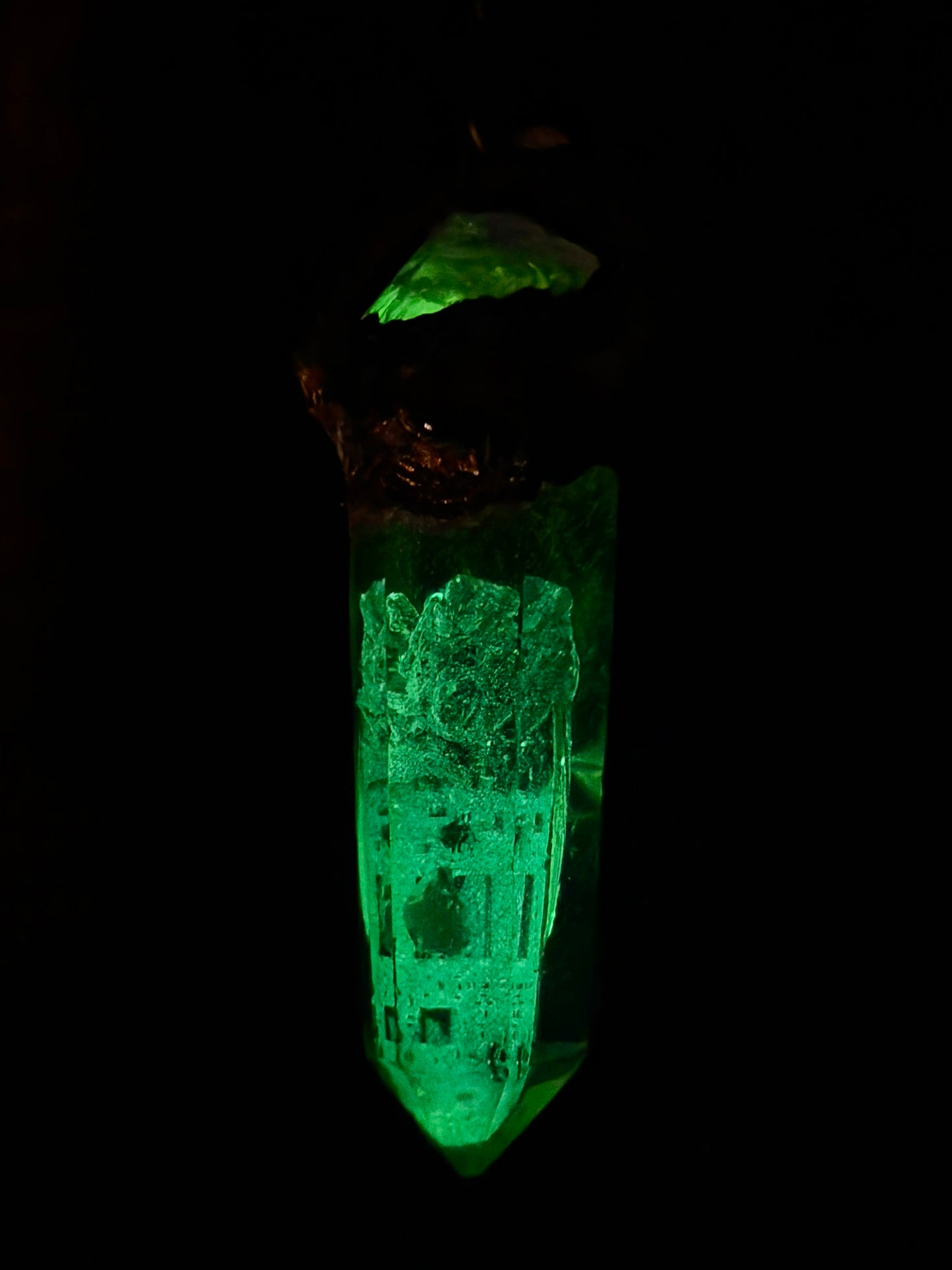 Cyborg Cicada 002