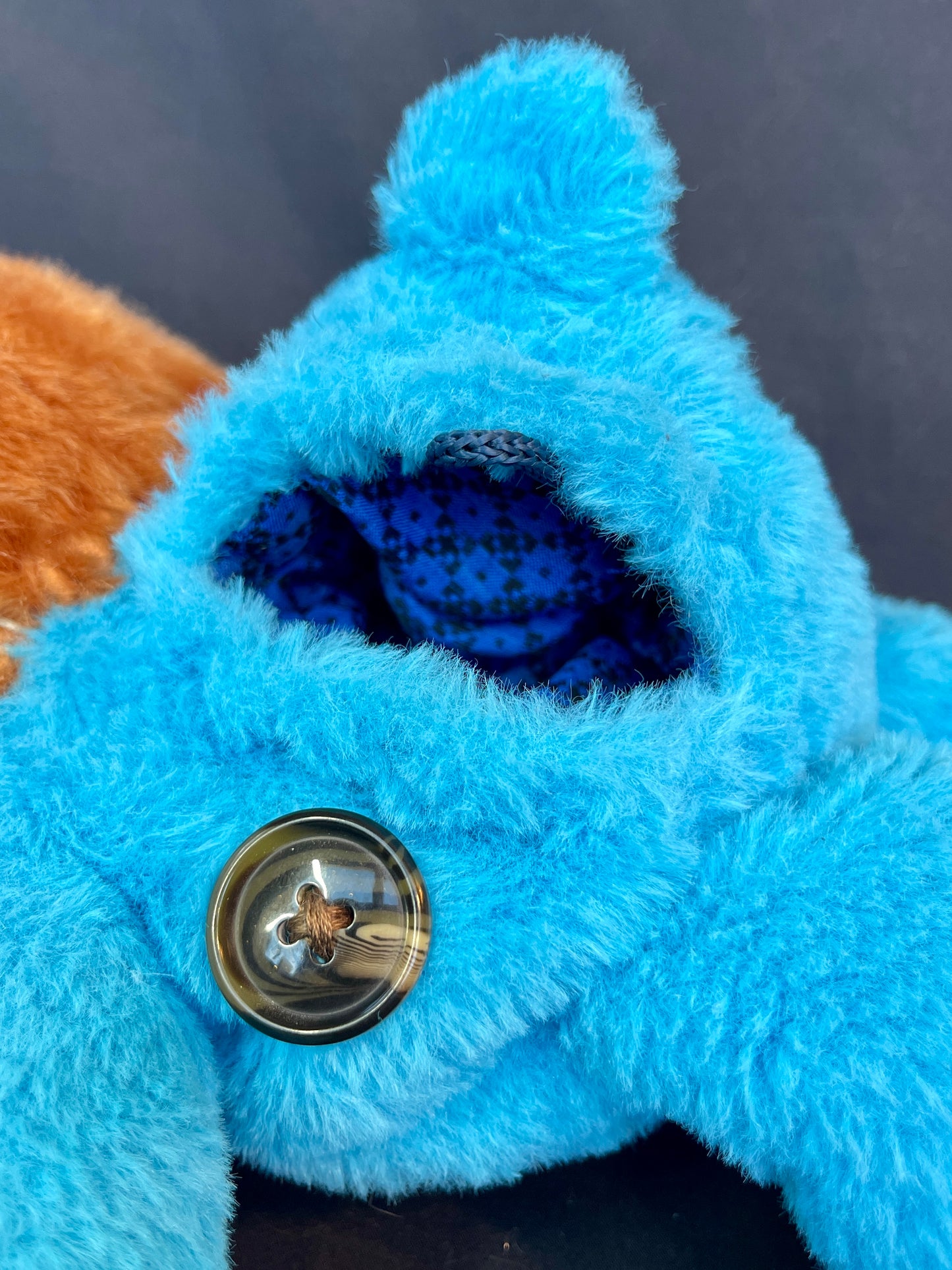 Fox + rain cloud care bear side bag