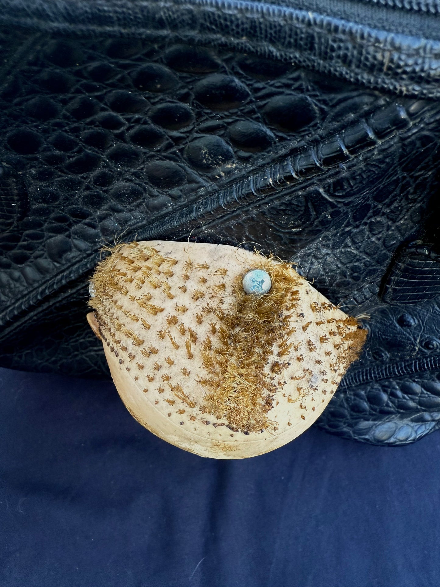 Baby crocodile purse
