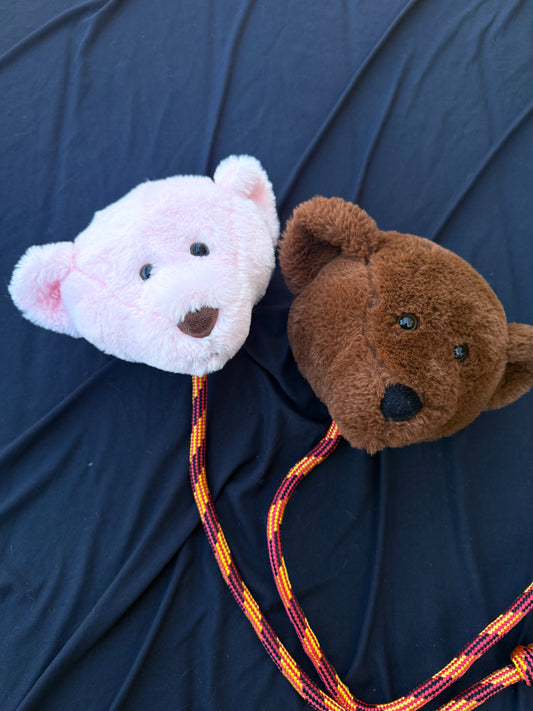 Teddy bear poi