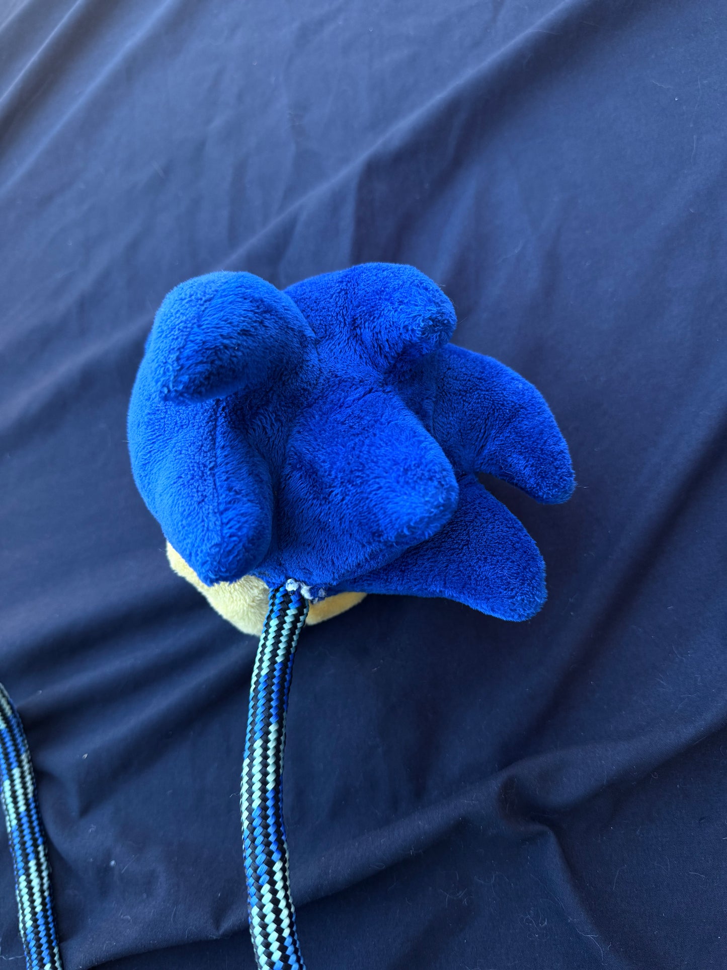 Sonic rope dart