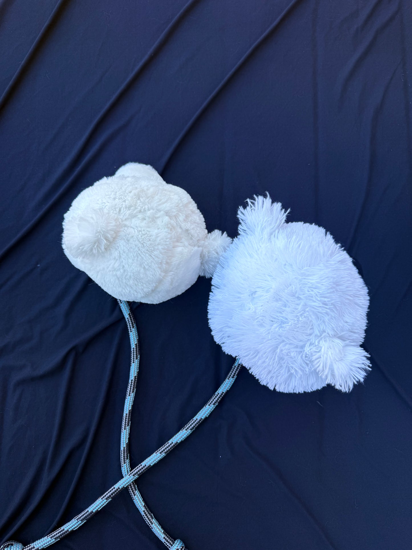 Polar bear poi