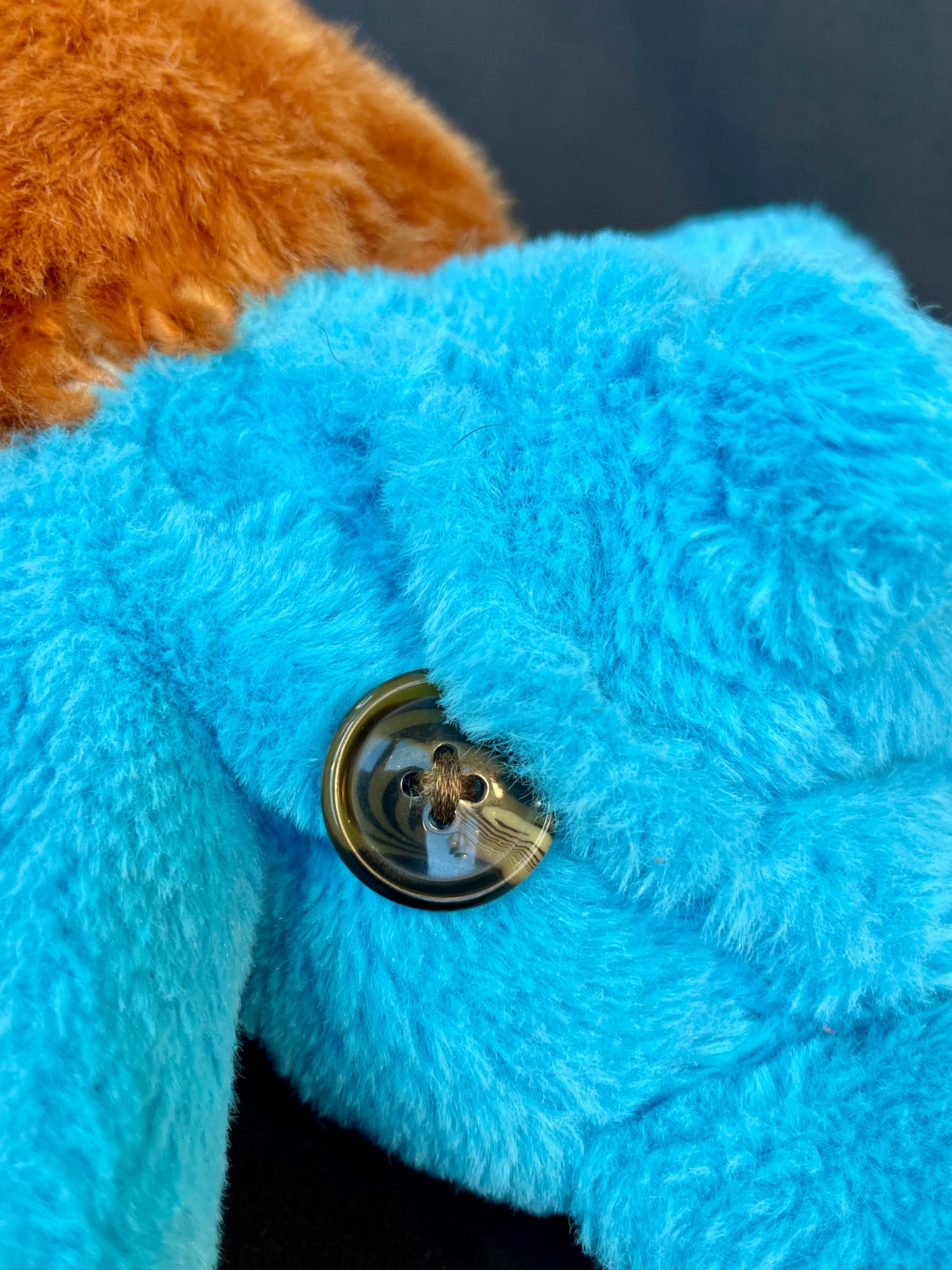 Fox + rain cloud care bear side bag