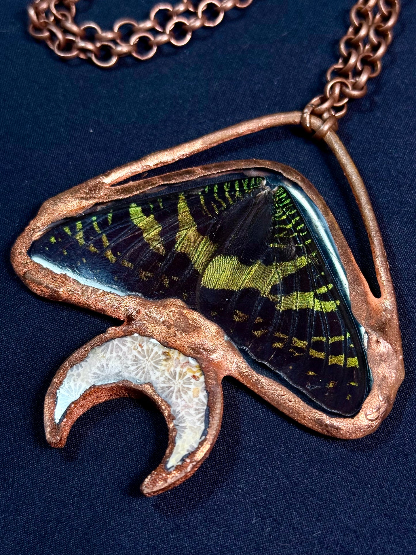 Fossil moon sunset moth amulet