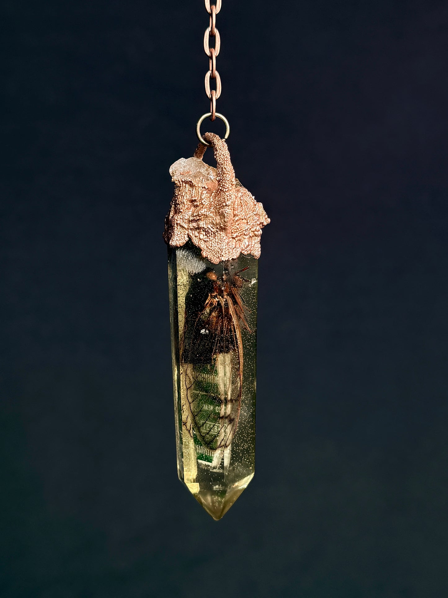 Cyborg Cicada 001