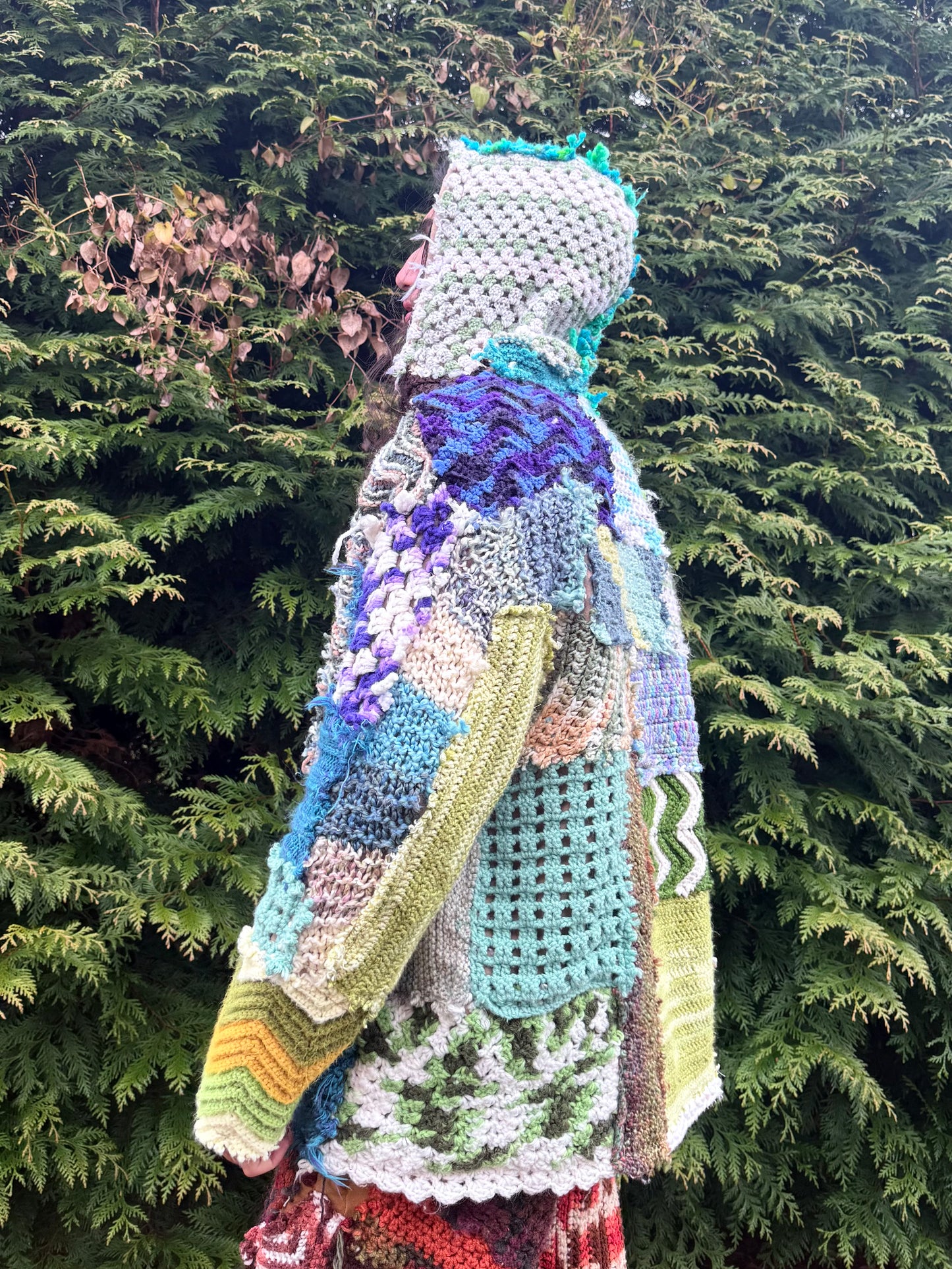Swamp wizard crochet hoodie