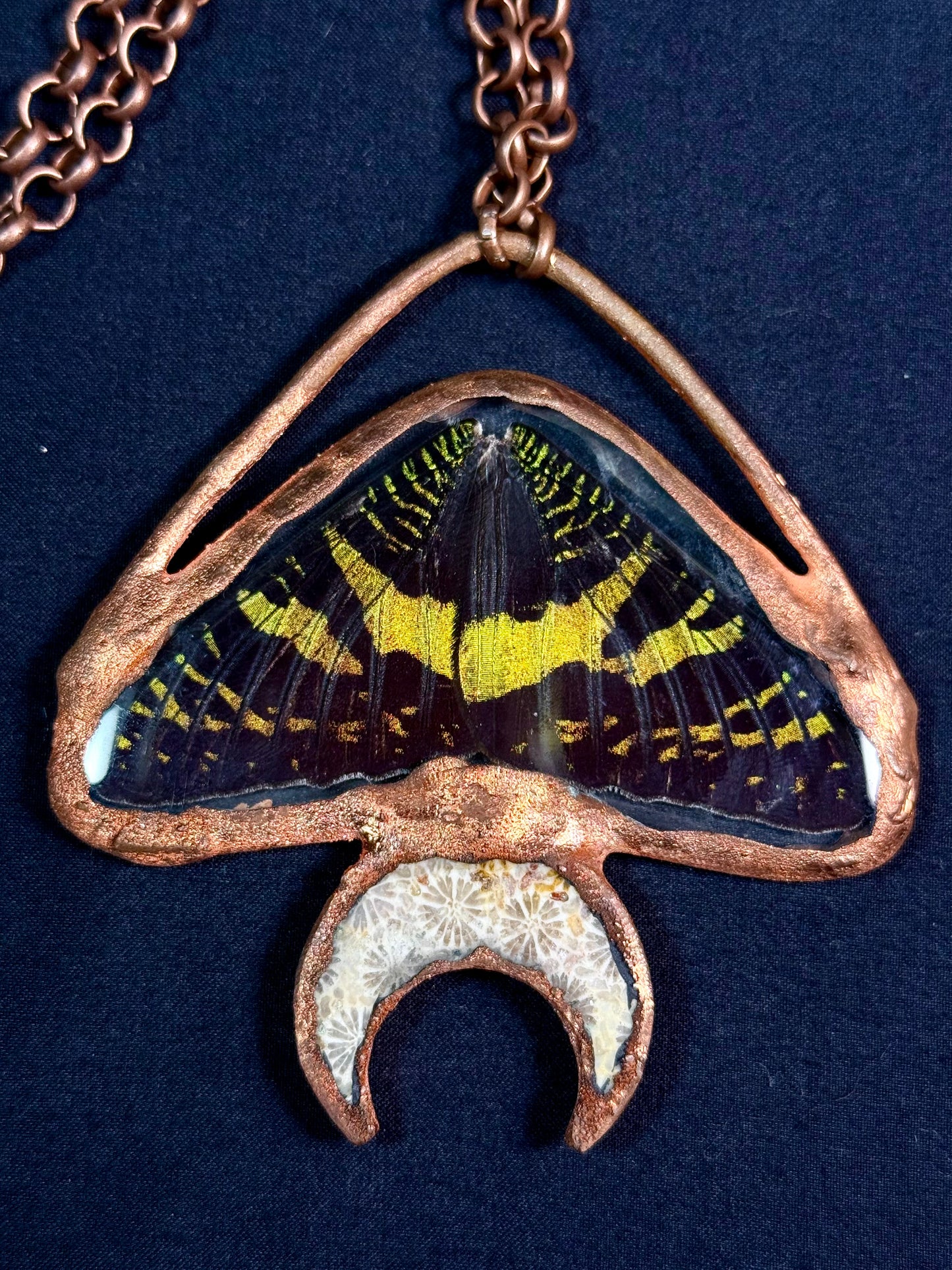 Fossil moon sunset moth amulet