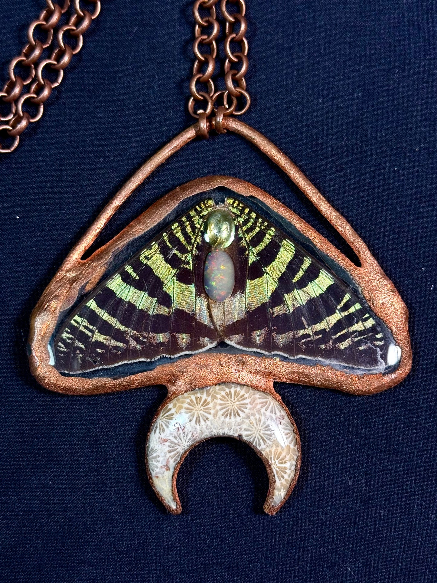 Fossil moon sunset moth amulet