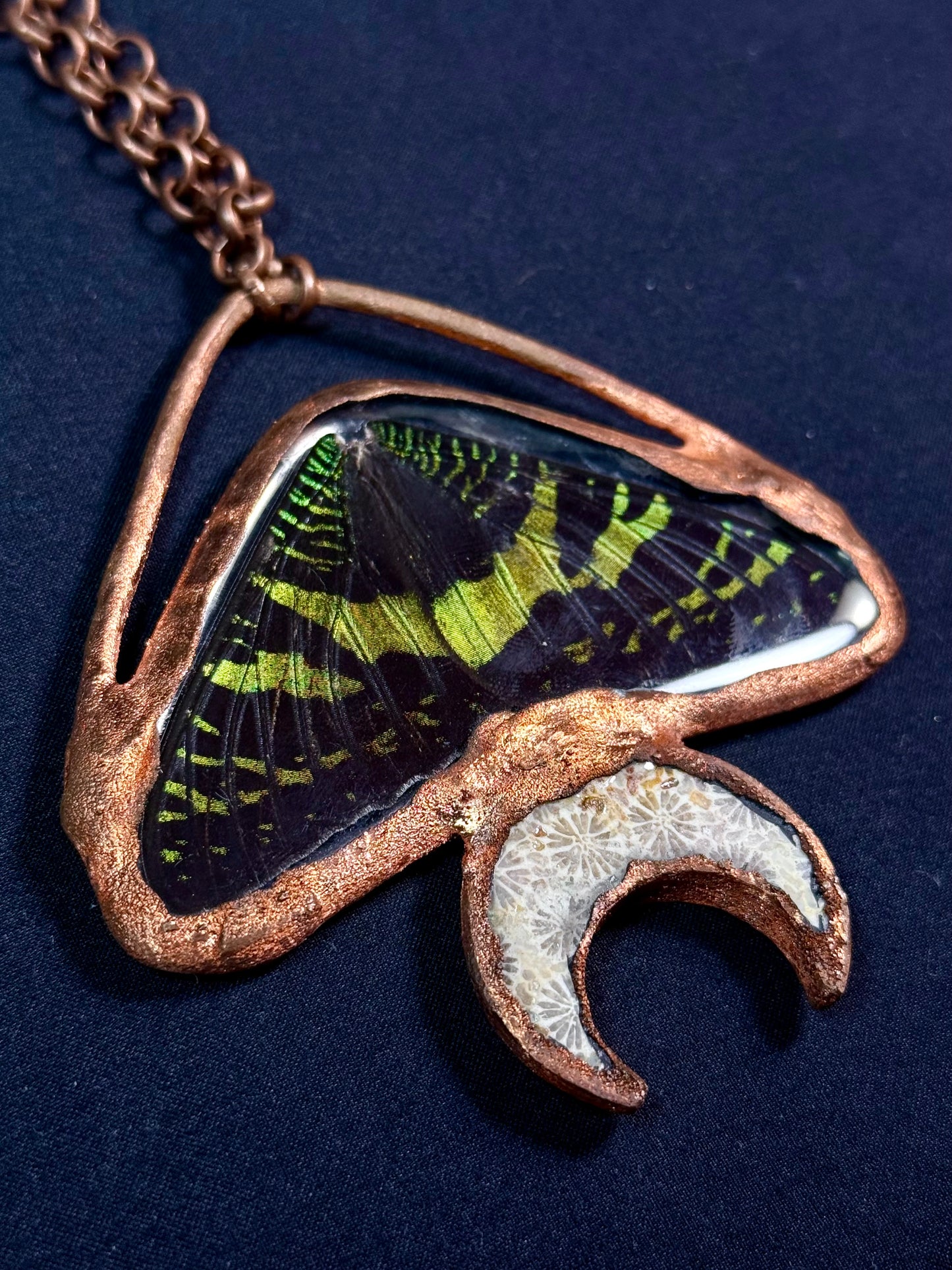 Fossil moon sunset moth amulet