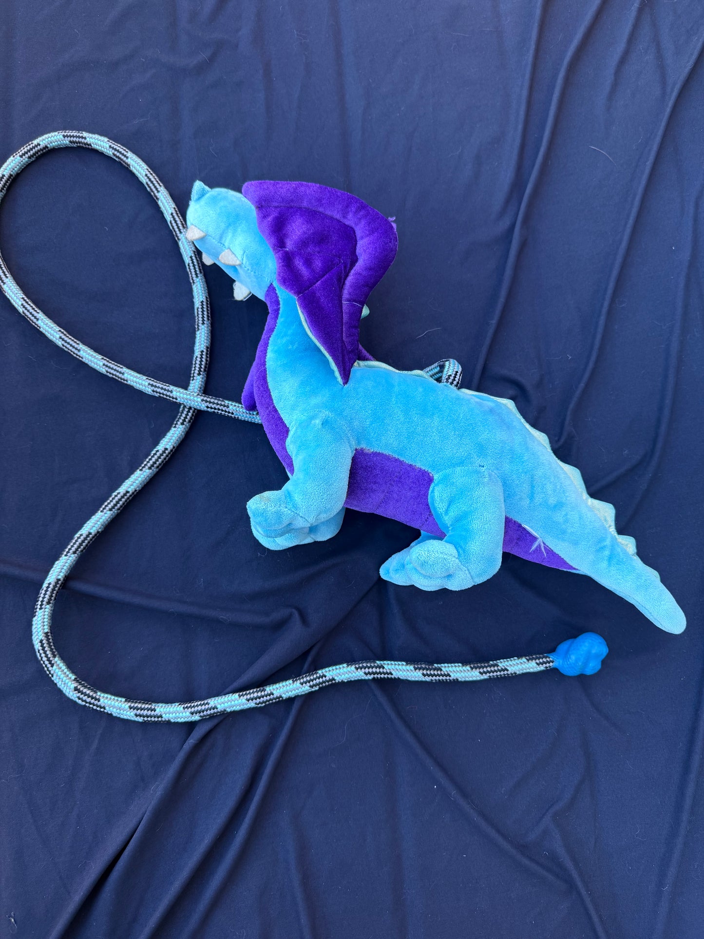 Dragon rope dart