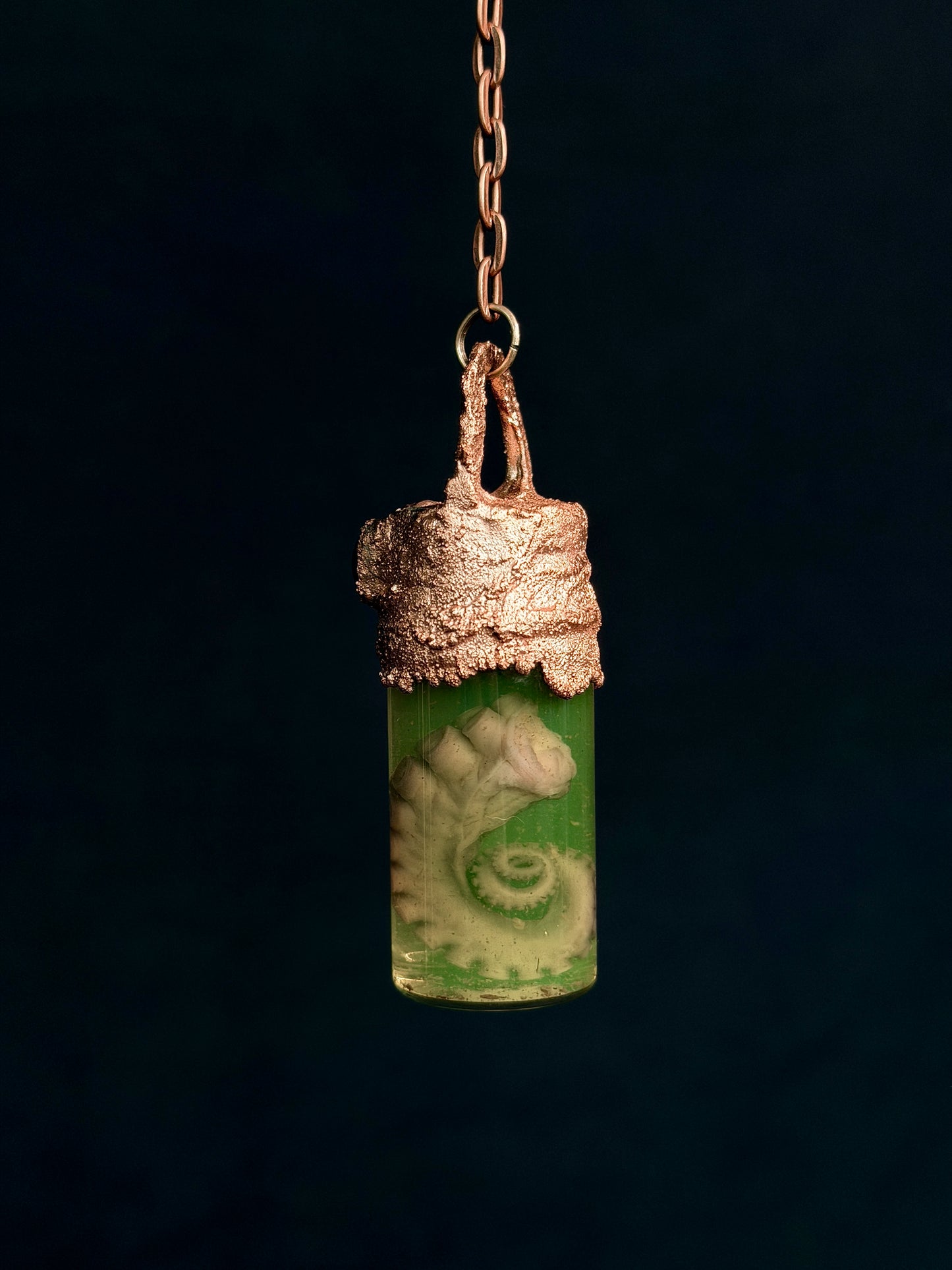 Octopus Tentacle Jar