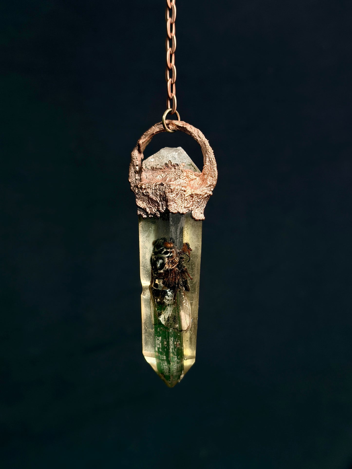 Cyborg Cicada 002