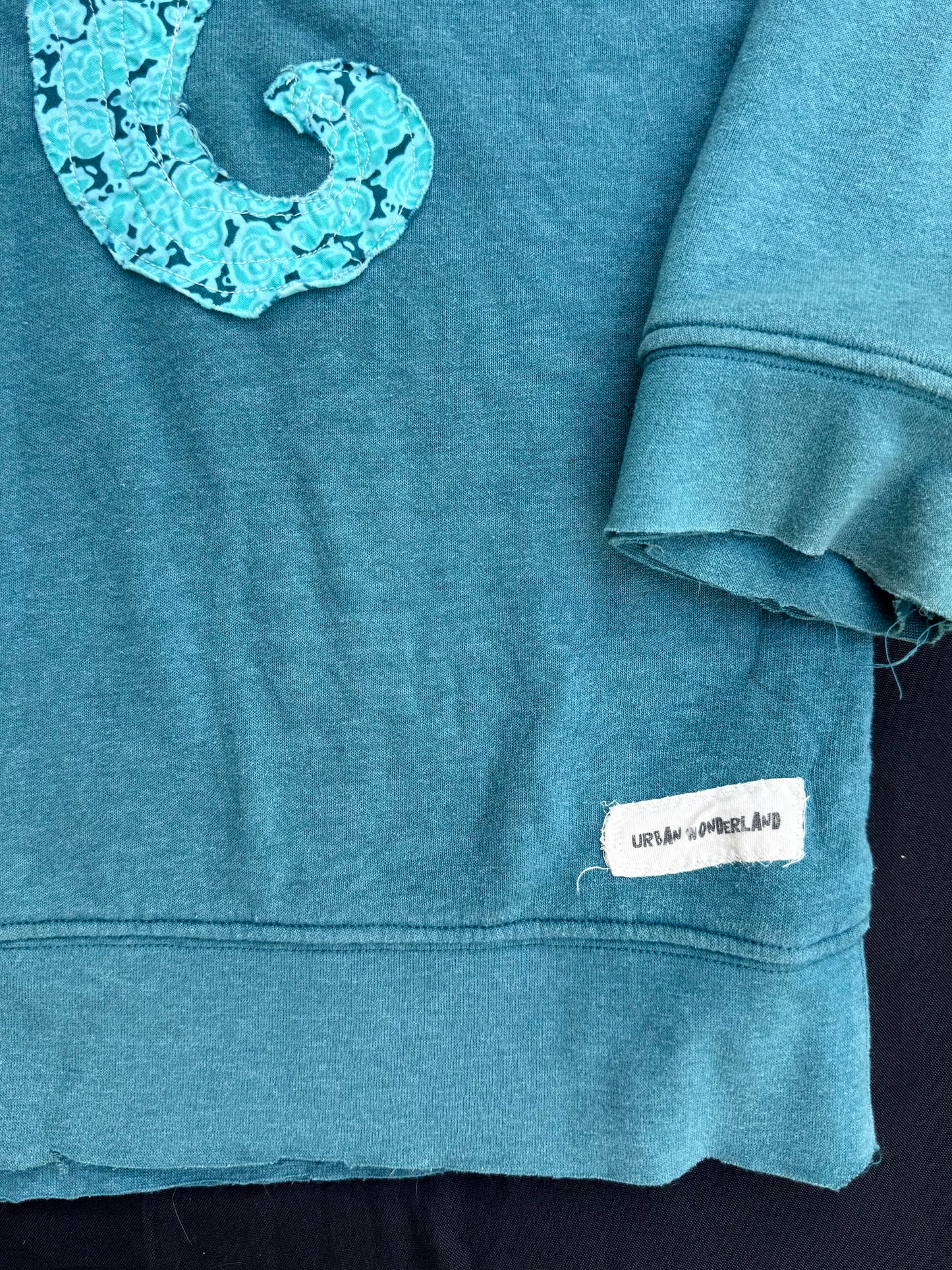 Darkwing duck sigil patch sweatshirt