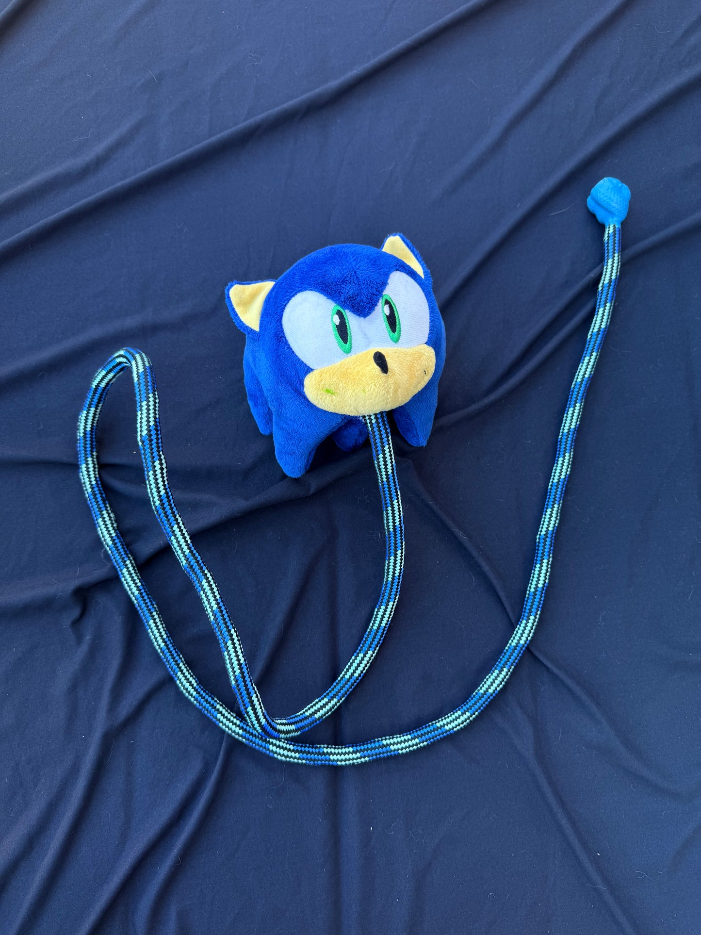 Sonic rope dart