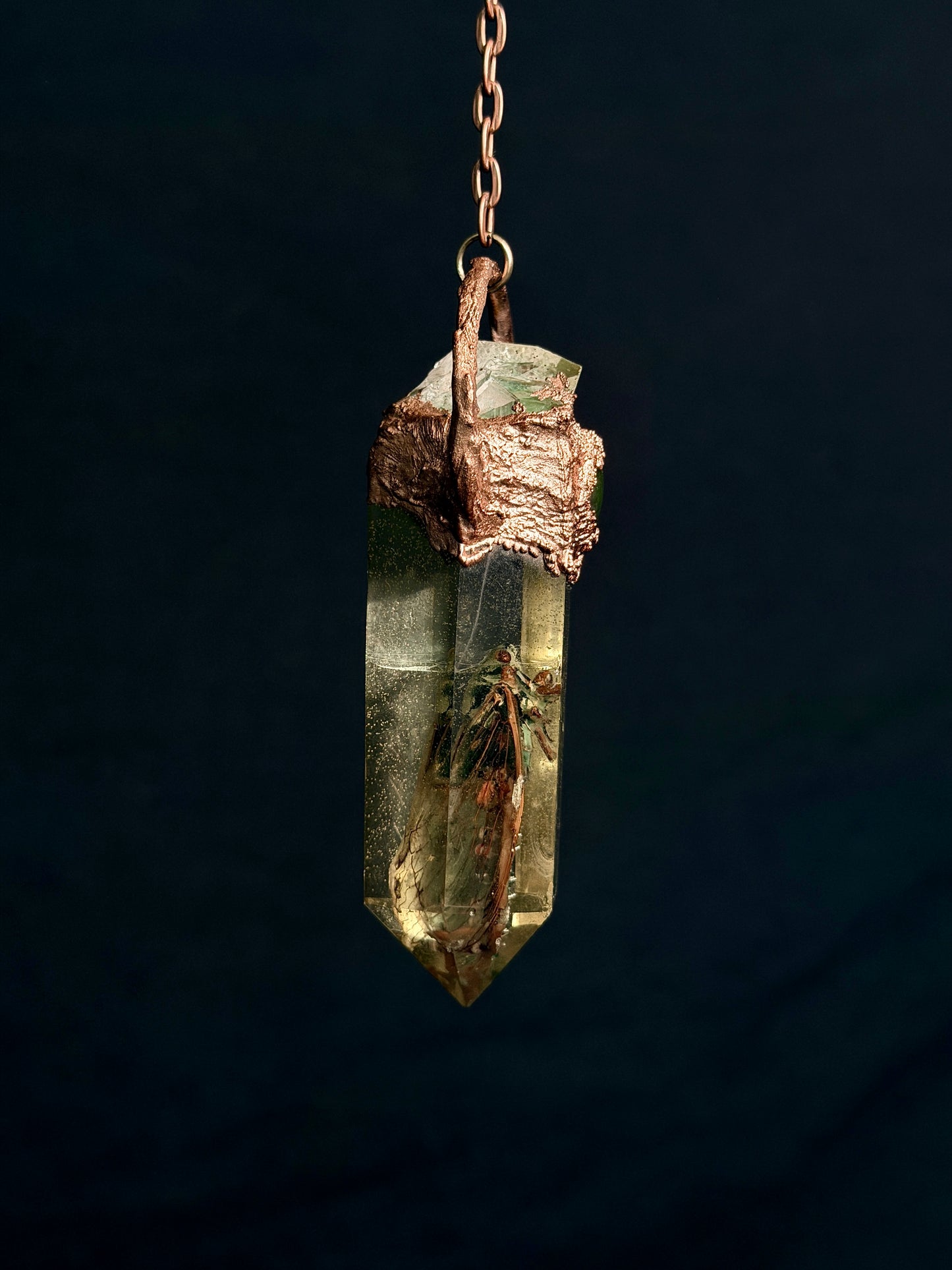 Cyborg Cicada 003