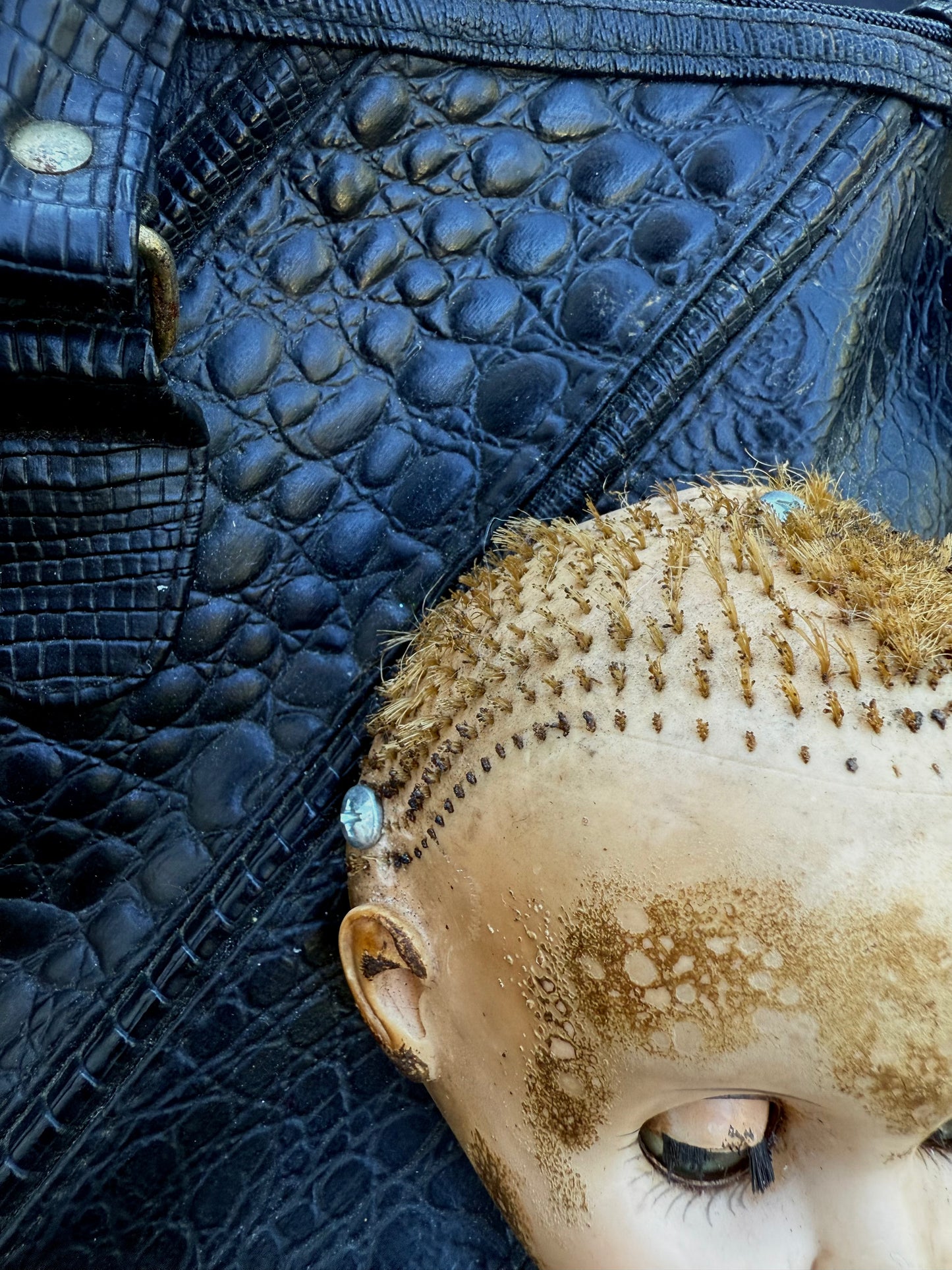 Baby crocodile purse