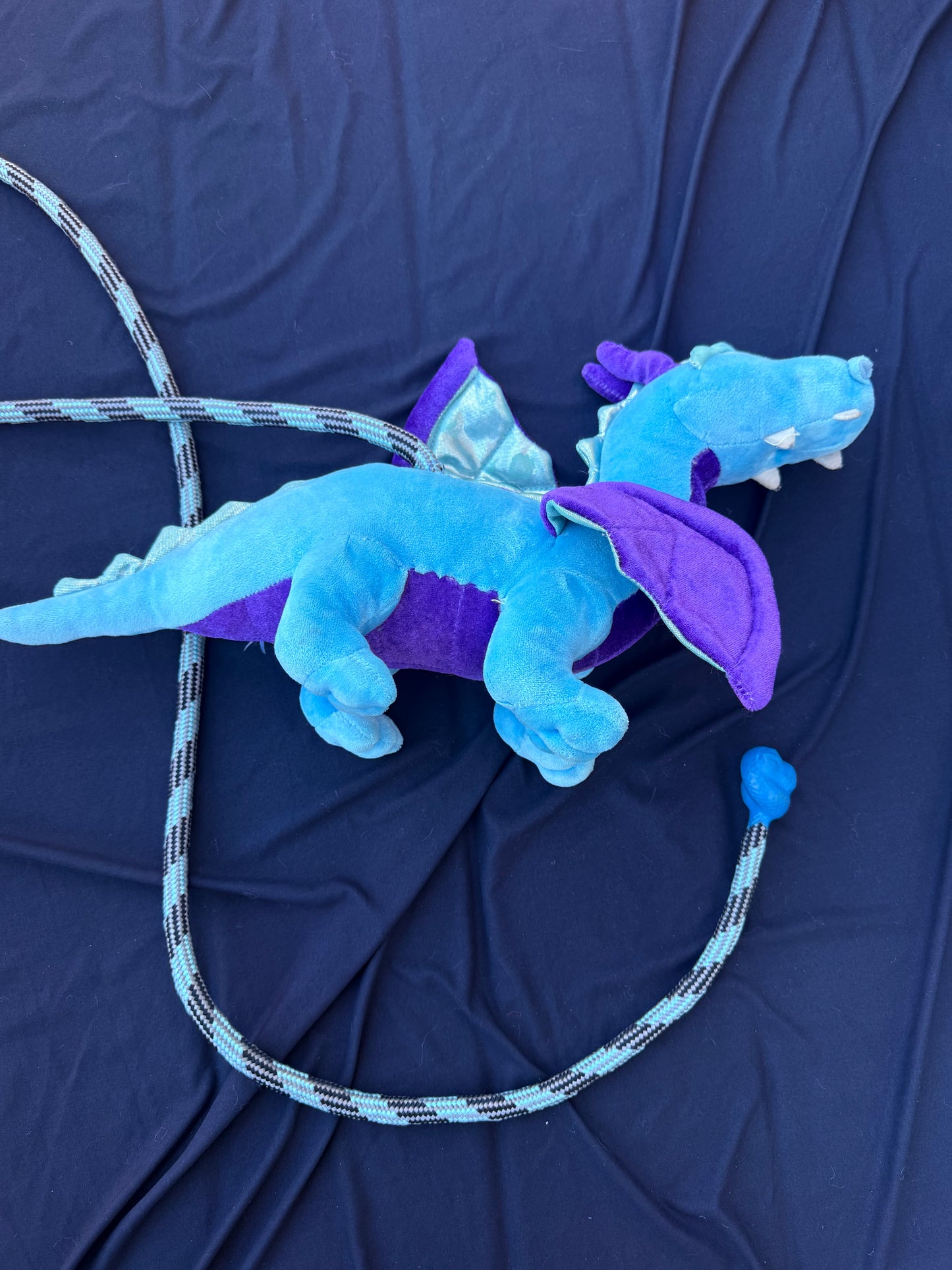Dragon rope dart